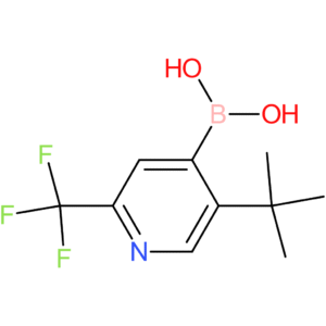 5-(tert-butyl)-2-trifluoromethylpyridine-4-boronic acid