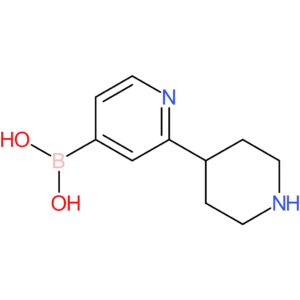 2-(piperidin-4-yl)pyridine-4-boronic acid