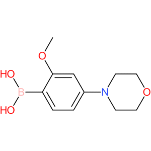 2-methoxy-4-(morpholino)phenylboronic acid
