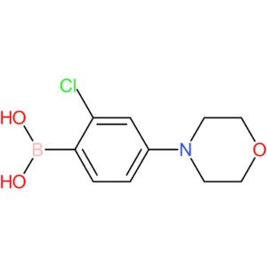 2-chloro-4-(morpholino)phenylboronic acid