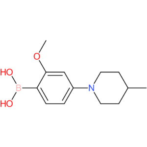2-methoxy-4-(4-methylpiperidin-1-yl)phenylboronic acid