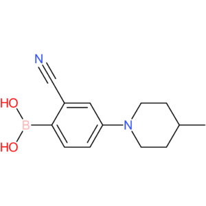 2-cyano-4-(4-methylpiperidin-1-yl)phenylboronic acid