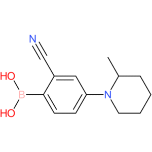 2-cyano-4-(2-methylpiperidin-1-yl)phenylboronic acid