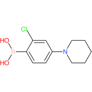 2-chloro-4-(piperidin-1-yl)phenylboronic acid