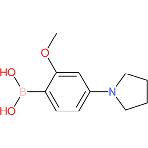 2-methoxy-4-(pyrrolidino)phenylboronic acid