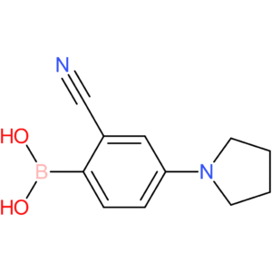 2-cyano-4-(pyrrolidino)phenylboronic acid