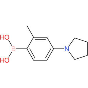 2-methyl-4-(pyrrolidino)phenylboronic acid