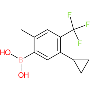 2-methyl-4-trifluoromethyl-5-cyclopropylphenylboronic acid