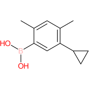 2,4-dimethyl-5-cyclopropylphenylboronic acid