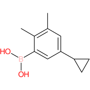 2,3-dimethyl-5-cyclopropylphenylboronic acid
