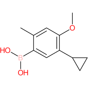 2-methyl-4-methoxy-5-cyclopropylphenylboronic acid