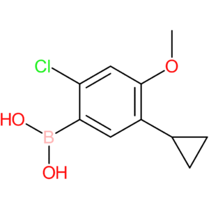 2-chloro-4-methoxy-5-cyclopropylphenylboronic acid