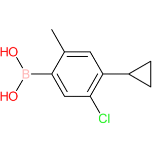 3-chloro-6-methyl-4-cyclopropylphenylboronic acid