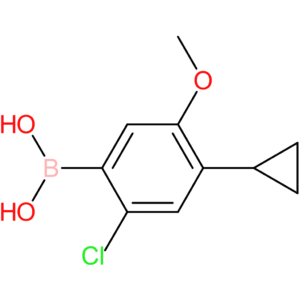 2-chloro-5-methoxy-4-cyclopropylphenylboronic acid