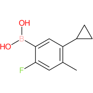 2-fluoro-4-methyl-5-cyclopropylphenylboronic acid