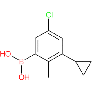 3-chloro-5-cyclopropyl-6-methylphenylboronic acid
