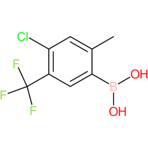 4-chloro-5-trifluoromethyl-2-methylphenylboronic acid