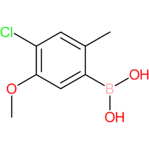 4-chloro-3-methoxy-6-methylphenylboronic acid