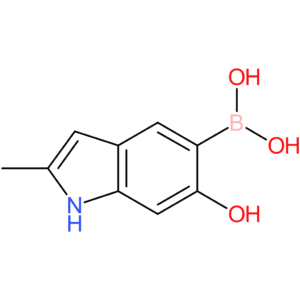 (6-hydroxy-2-methyl-1h-indol-5-yl)boronic acid