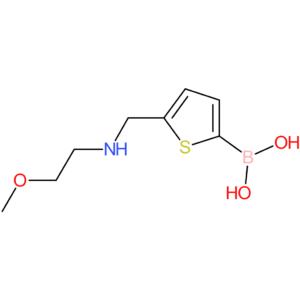 b-[5-[[(2-methoxyethyl)amino]methyl]-2-thienyl]boronic acid
