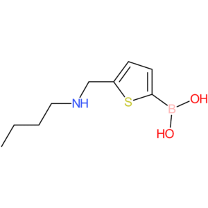 b-[5-[(butylamino)methyl]-2-thienyl]boronic acid