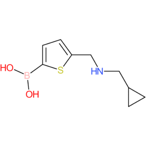 b-[5-[[(cyclopropylmethyl)amino]methyl]-2-thienyl]boronic acid