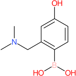 (2-[(dimethylamino)methyl]-4-hydroxyphenyl)boronic acid