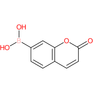 (2-oxochromen-7-yl)boronic acid