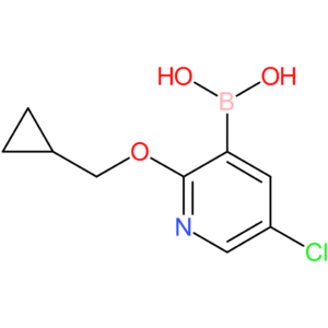 5-chloro-2-(cyclopropylmethoxy)pyridine-3-boronic acid