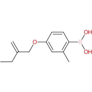 [2-methyl-4-(2-methylidenebutoxy)phenyl]boronic acid