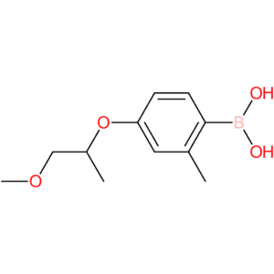 (4-[(1-methoxypropan-2-yl)oxy]-2-methylphenyl)boronic acid