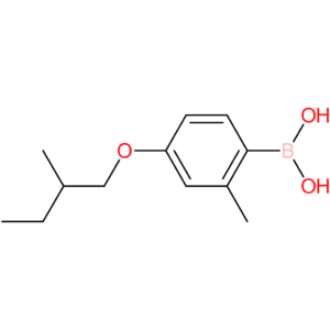 [2-methyl-4-(2-methylbutoxy)phenyl]boronic acid