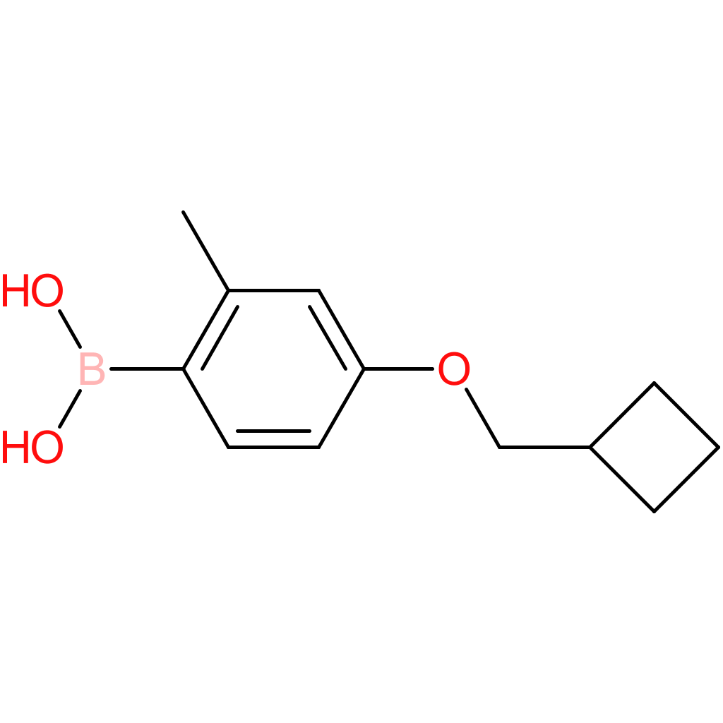 [4-(cyclobutylmethoxy)-2-methylphenyl]boronic acid