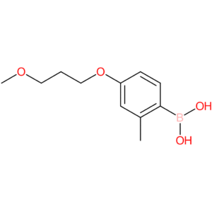 [4-(3-methoxypropoxy)-2-methylphenyl]boronic acid