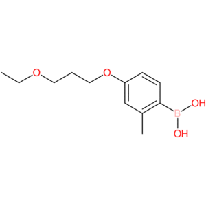 [4-(3-ethoxypropoxy)-2-methylphenyl]boronic acid