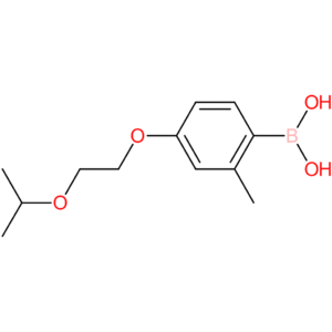(2-methyl-4-[2-(propan-2-yloxy)ethoxy]phenyl)boronic acid