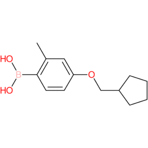 [4-(cyclopentylmethoxy)-2-methylphenyl]boronic acid