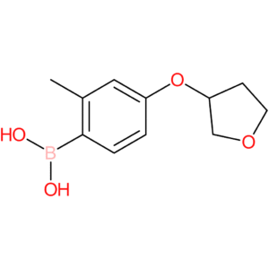 [2-methyl-4-(oxolan-3-yloxy)phenyl]boronic acid