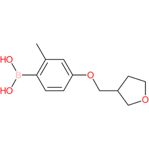 [2-methyl-4-(oxolan-3-ylmethoxy)phenyl]boronic acid