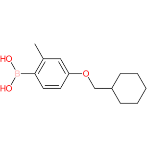 [4-(cyclohexylmethoxy)-2-methylphenyl]boronic acid