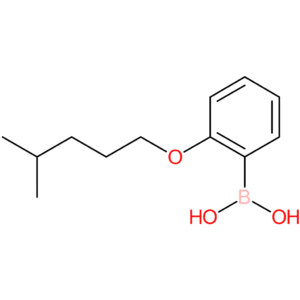 (2-[(4-methylpentyl)oxy]phenyl)boronic acid