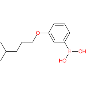 (3-[(4-methylpentyl)oxy]phenyl)boronic acid