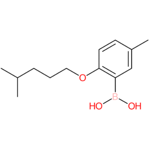(5-methyl-2-[(4-methylpentyl)oxy]phenyl)boronic acid