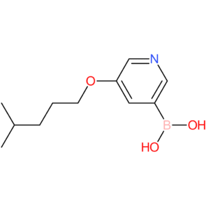 (5-[(4-methylpentyl)oxy]pyridin-3-yl)boronic acid
