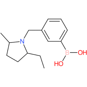 (3-[(2-ethyl-5-methylpyrrolidin-1-yl)methyl]phenyl)boronic acid