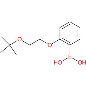 (2-[2-(tert-butoxy)ethoxy]phenyl)boronic acid