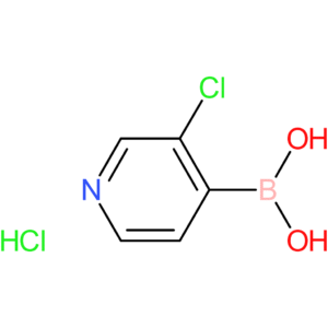 3-chloropyridine-4-boronic acid hcl