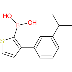 3-(3-isopropyl-phenyl)-thiophene-2-boronic acid