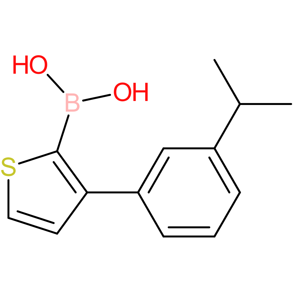 3-(3-isopropyl-phenyl)-thiophene-2-boronic acid