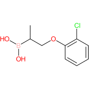 1-(2-chlorophenoxy)propan-2-ylboronic acid